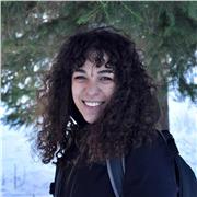 Offro lezioni private a ragazze e ragazzi delle scuole elementari, medie, superiori, università.